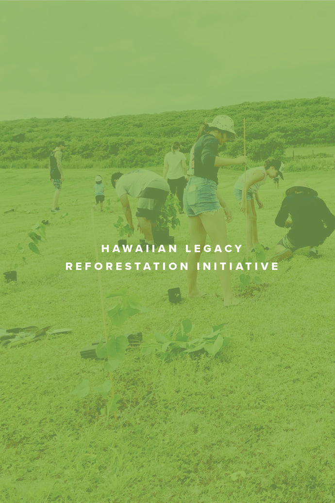hawaiian legacy reforestation initiative