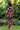 Dress Mahina - Jet Poppy