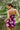 Romper Alexia - Amethyst Peony