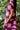 Dress Shari - Amethyst Peony