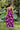 Jumper Kiki - Amethyst Peony