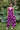 Jumper Kiki - Amethyst Peony
