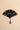 Bamboo Fan - Black Fish